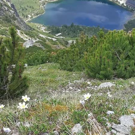 Apartamento Rodinný Privátny A309 V úplnom Centre Starého Smokovca - Tichá Izba S Parkovaním